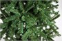 Green Trees Ель Алтайская Классик 1.2 м. 1779124988