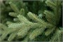 Green Trees Ель световая Валерио Премиум 1.2 м. 1897516813