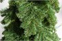 Green Trees Ель Вьюжн Классик 1.2 м. 252947275