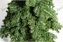 Green Trees Ель Вьюжн Классик 1.2 м. 252947275