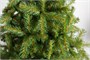 Green Trees Ель Южанка Классик 1.2 м. 1507556608