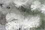 Green Trees Искусственная Ель Снежная 1.5 м. 2111849106