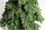 Green Trees Ель Вьюжн Классик 1.5 м. 1127657028