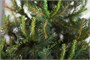 Green Trees Ель Таежная Классик 1.8 м. 952395178