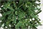 Green Trees Ель Алтайская Классик 1.8 м. 744860607