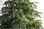 Green Trees Ель Онтарио Люкс 1.8 м. 1379087965
