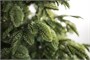 Green Trees Ель Онтарио Люкс 1.8 м. 1379087965