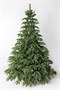 Green Trees Ель Онтарио Люкс 1.8 м. 1379087965