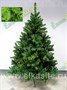 Triumph Tree Ель Норвежская 215 см. - 73256 1466313494