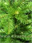 Triumph Tree Ель Норвежская 215 см. - 73256 1466313494