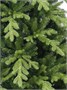 Beatrees Ель Vancouver 2.1 м. - PG51G-BH70 708353346