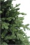Beatrees Ель Alaska 2.1 м. - GG41G-BHC 70 1512456817