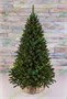 Triumph Tree Пихта Прелестная 230 см. - 73989 745171061