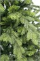 Beatrees Ель Emerald 2.4 м. - NP20GZ-BH80 1442914271