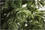 Green Trees Ель Онтарио Люкс 2.4 м. 752103385