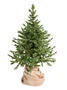 Green Trees Ель Датская Премиум 2.4 м. 425150951