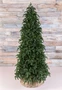 Triumph Tree Ель Нормандия Стройная 260 см. - 73656 1003321614