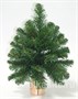 Triumph Tree Ель Норвежская 30 см. - 73389 1999309945