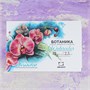 Набор акварели Veroneze Ботаника, кюветы 2,5 мл, 12 цветов, металлическая коробка 503519354