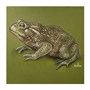 Бумага для пастели Малевичъ GrafArt, плотность 270 г/м, размер А3, 50 листов 743673868
