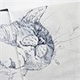 Скетчбуки для графики GrafArt Sketch 110 г/м, цвета и размеры в ассортименте 97367709