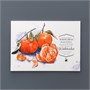 Склейка для акварели White Swan, Torshon, 250 г/м 1508261637