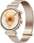 Смарт-часы HUAWEI Watch GT 6 41mm Золотой 5000778