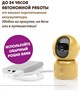 Видеоняня Ramili Baby RV1500GOLD с креплением 5145674