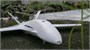 Самолёт AtomRC Dolphin Fixed Wing 184954207