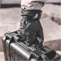 Перчатки для фотографа (Professional) (PGYTECH) 1474720924