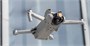 Комплект из 5 фильтров (CPL/ND16-PL/64/128/256) DJI Mini 3 (Professional) (PGYTECH P-40B-013) 1911789848