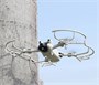 Защита пропеллеров DJI Mini 3 (SunnyLife) 1796937830