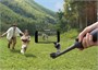 Стабилизатор DJI Osmo Mobile 6 1052343825