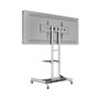 Интерактивная панель AxeTech Horizon Scan c документ-камерой 55" Medium 1831917066