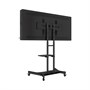 Интерактивная панель AxeTech Horizon Scan c документ-камерой 55" Medium 1831917066