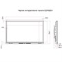 Интерактивная панель EdFlat EDF55EH 412384715