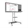 Интерактивная панель AxeTech Horizon Scan c документ-камерой 43" Start 1705200319