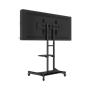 Интерактивная панель AxeTech Horizon Scan c документ-камерой 65" Premium 524147598