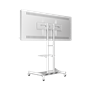 Интерактивная панель AxeTech Horizon Scan c документ-камерой 65" Premium 524147598