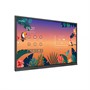 Интерактивная панель Newline 75" TT-7523QAS 1432832362