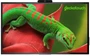 Интерактивная панель Geckotouch Interactive 75R 101162928