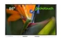 Интерактивная панель Geckotouch Interactive 86RK + OPS 2111823790