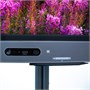 Интерактивная панель EliteBoard LK-65-S 1480613064