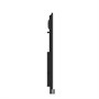 Интерактивная панель BENQ RM5502K 503541505