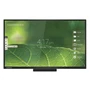 Интерактивная панель CleverTouch Pro Series E-CAP 75" 910340497