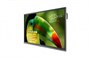 Интерактивная панель BENQ RP653 1595473634