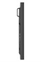 Интерактивная панель ViewSonic CDM5500T 1775834401
