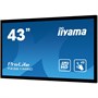 Интерактивная панель Iiyama T4361MSC-B1 317194383