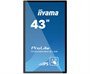 Интерактивная панель Iiyama TF4338MSC-B1AG 770834960