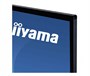 Интерактивная панель Iiyama TE5503MIS-B2AG 417232156